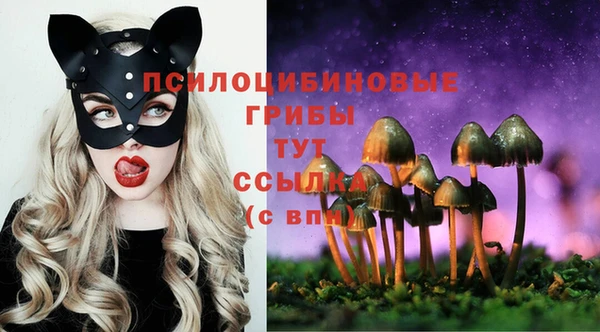 молекула духа Горнозаводск