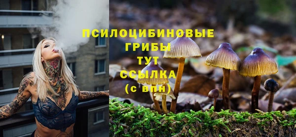 эйфоретик Вязники