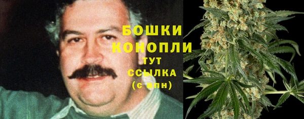 ALPHA PVP Вяземский