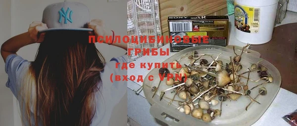 ALPHA PVP Вяземский