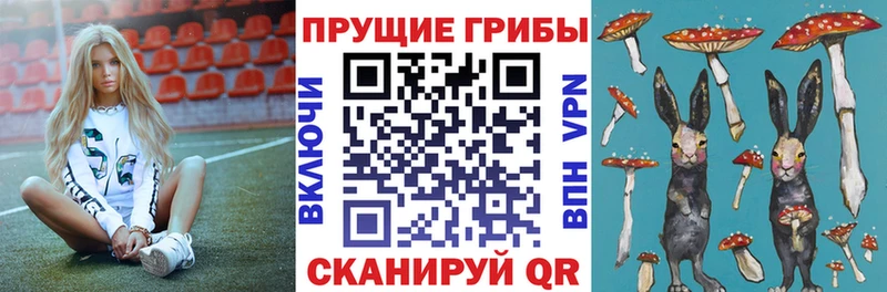 Галлюциногенные грибы мухоморы  Дальнегорск 